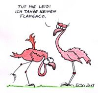 2013 flamingo flamenco