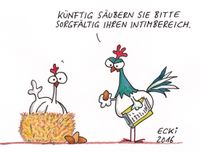 2016 Huhn Intimbereich
